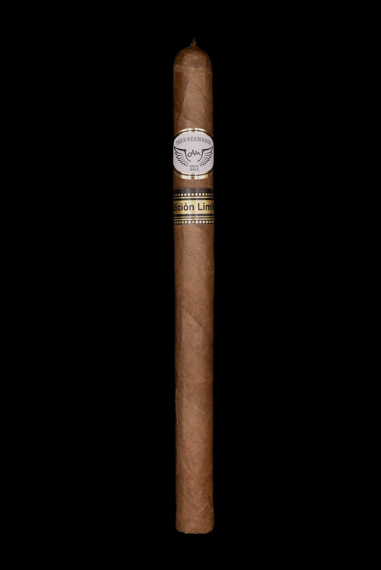 N°7: « Lancero »